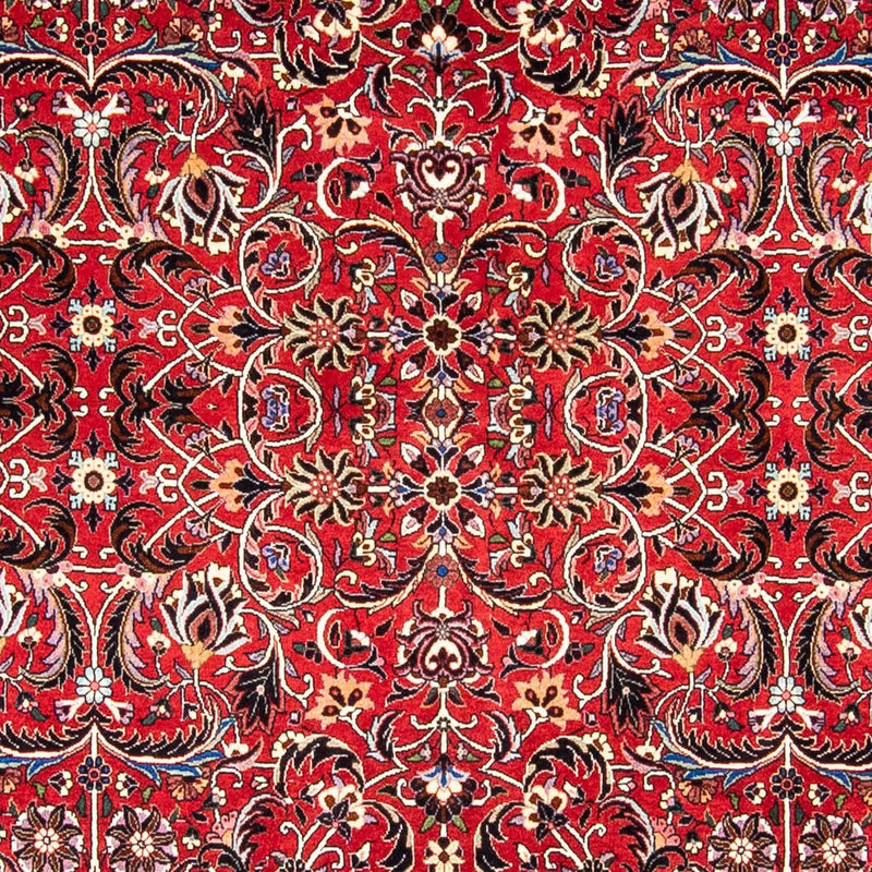 Tappeto Persero - Bidjar - 242 x 175 cm - rosso scuro