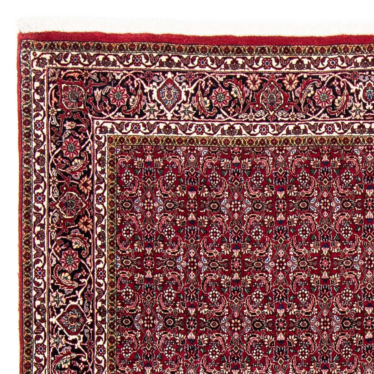 Tappeto Persero - Bidjar - 245 x 174 cm - rosso