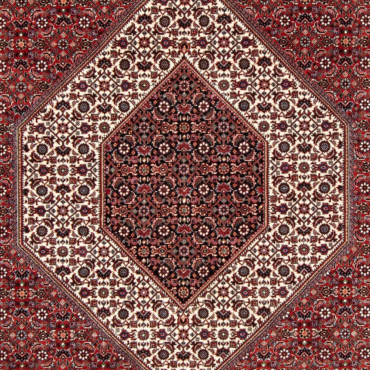 Tappeto Persero - Bidjar - 249 x 174 cm - rosso scuro