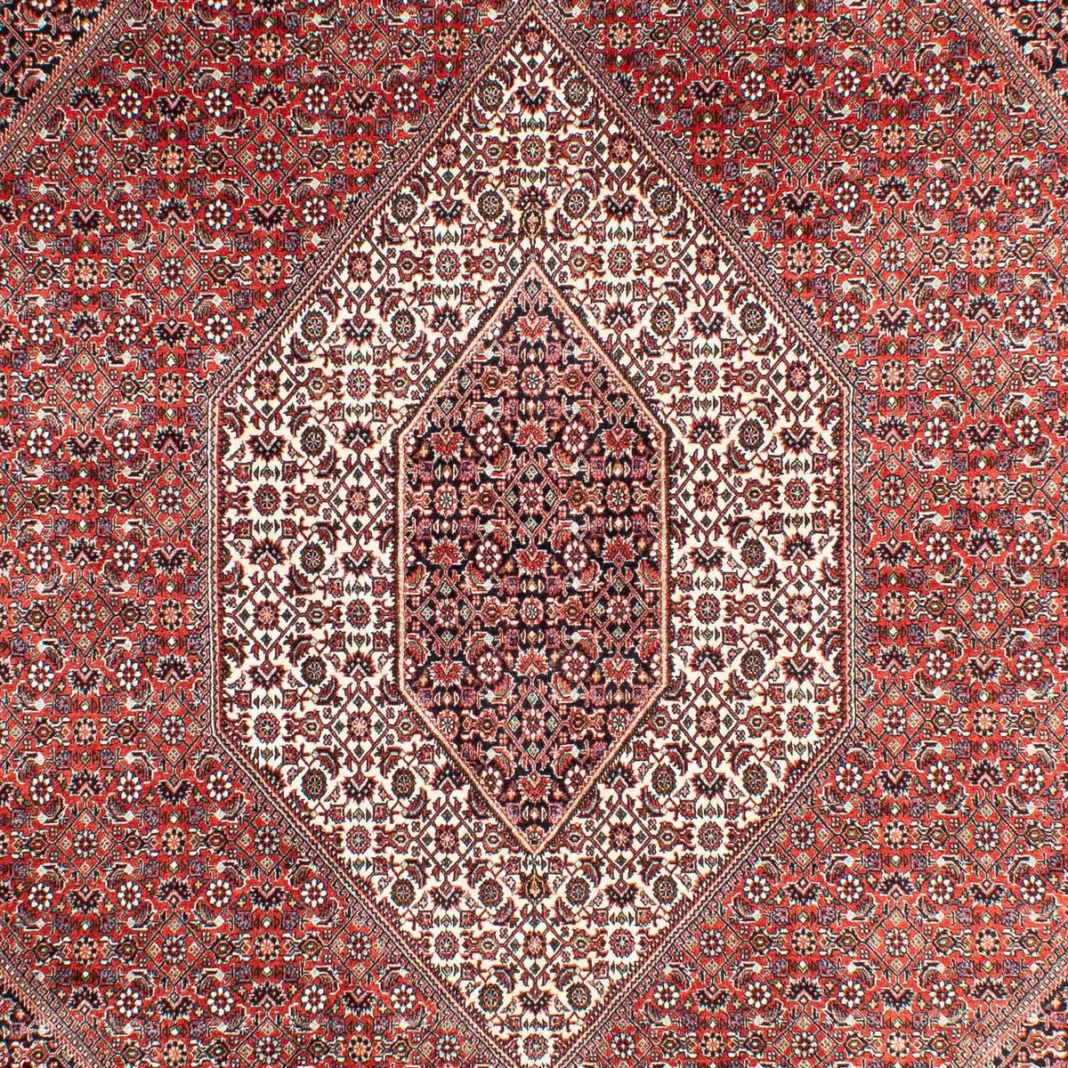 Tappeto Persero - Bidjar - 303 x 203 cm - rosso chiaro