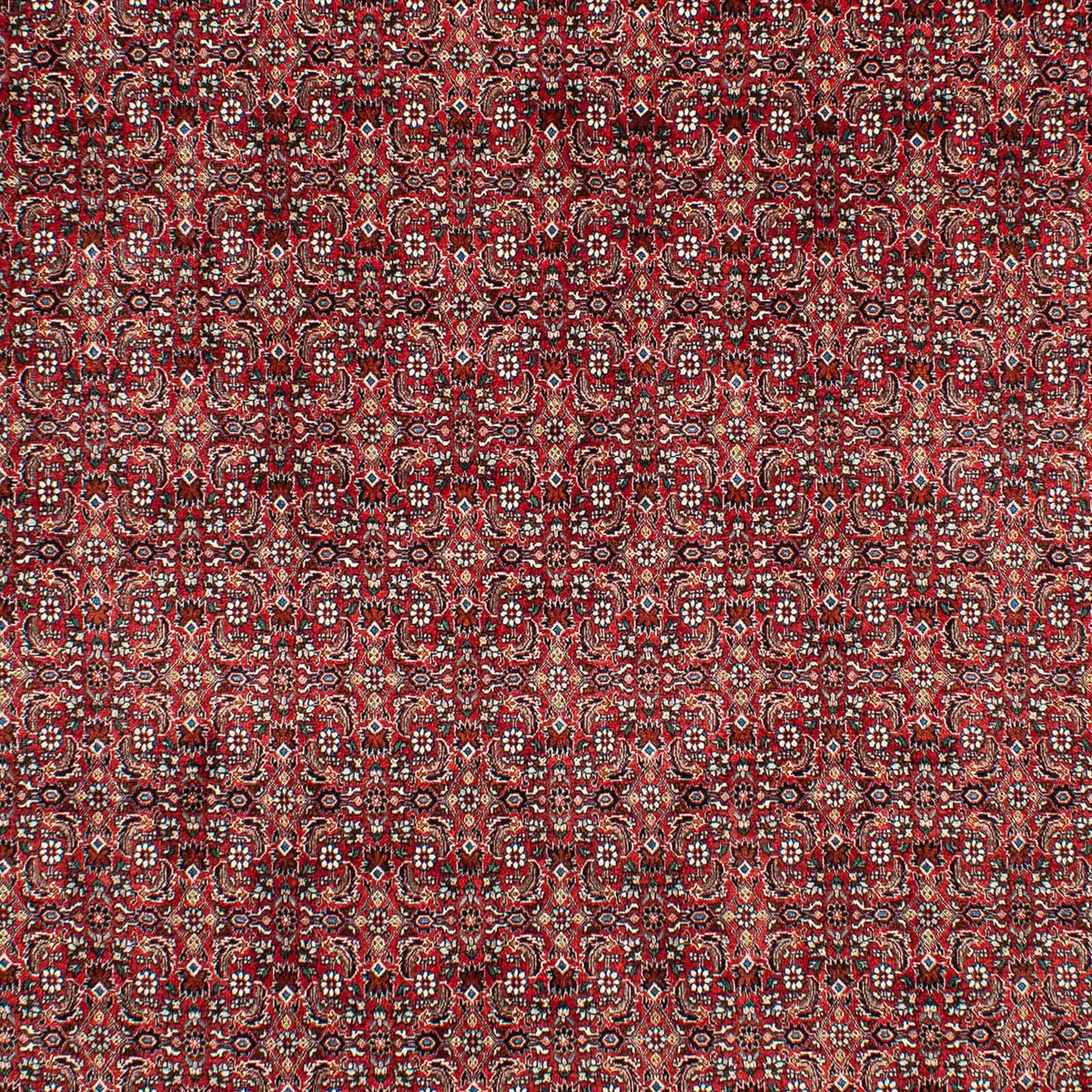 Tappeto Persero - Bidjar - 309 x 209 cm - rosso scuro