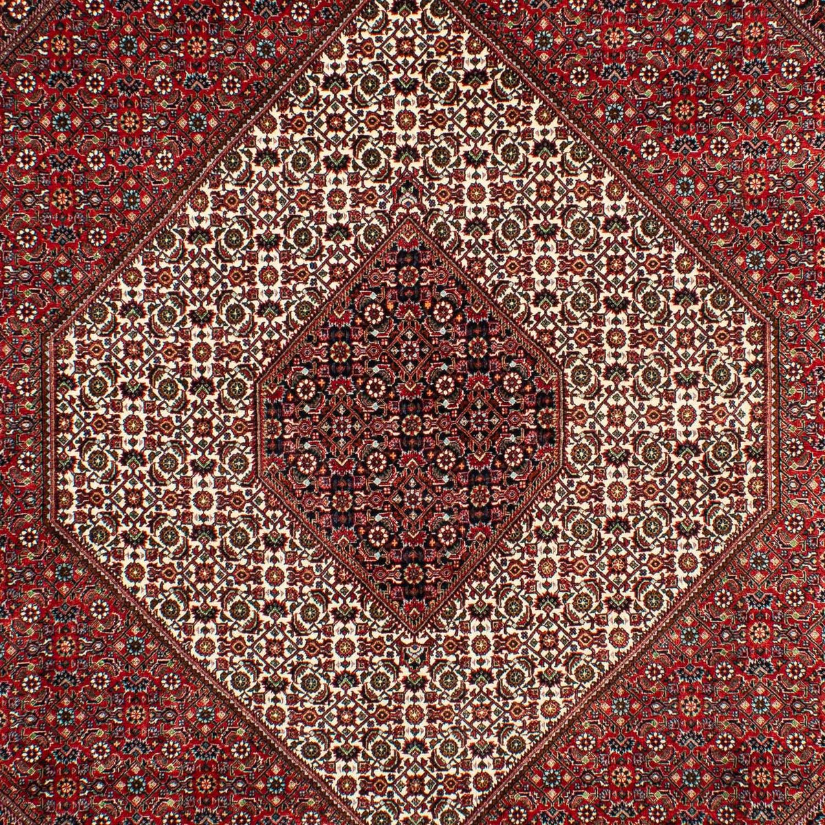 Tappeto Persero - Bidjar - 300 x 203 cm - rosso scuro