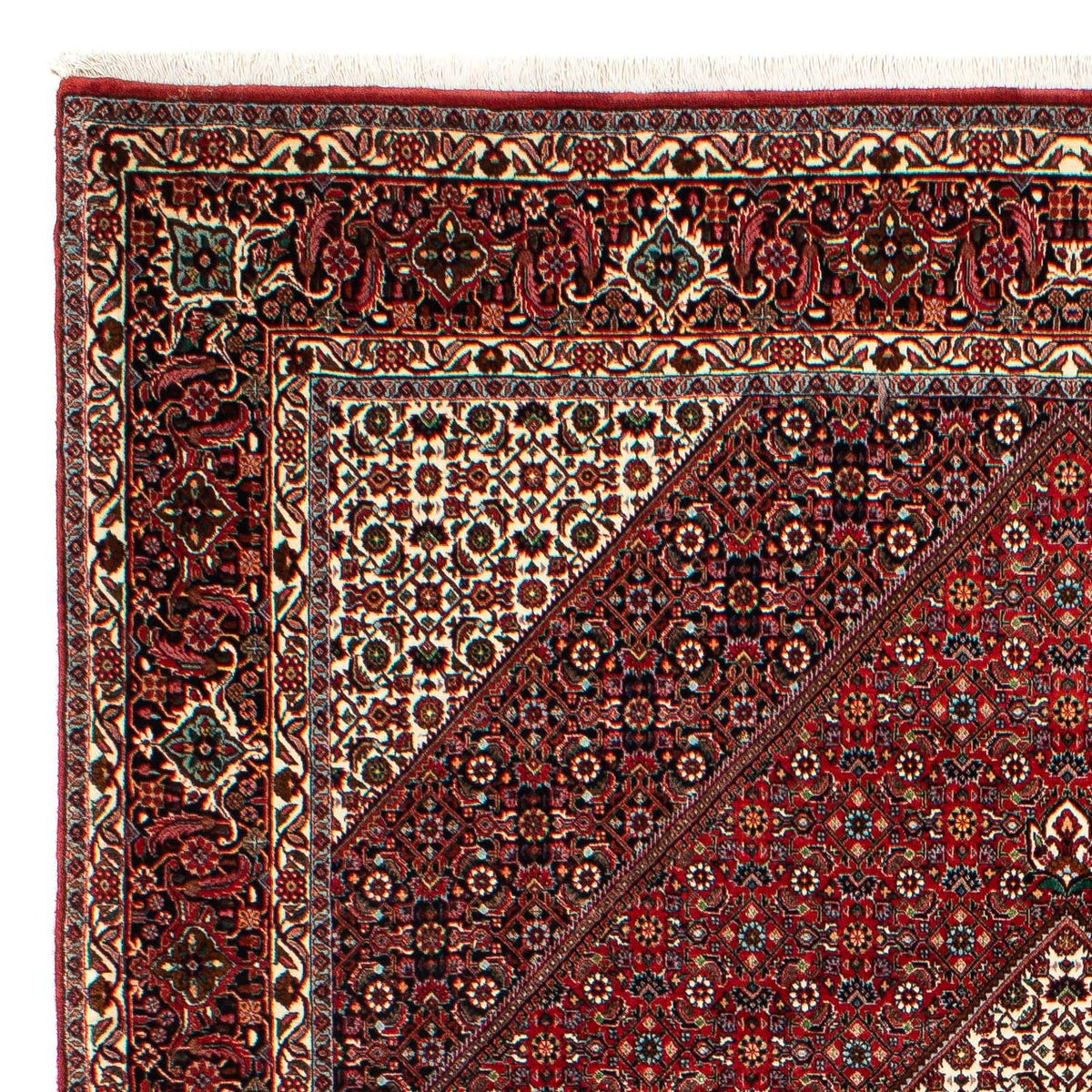 Tappeto Persero - Bidjar - 300 x 203 cm - rosso scuro