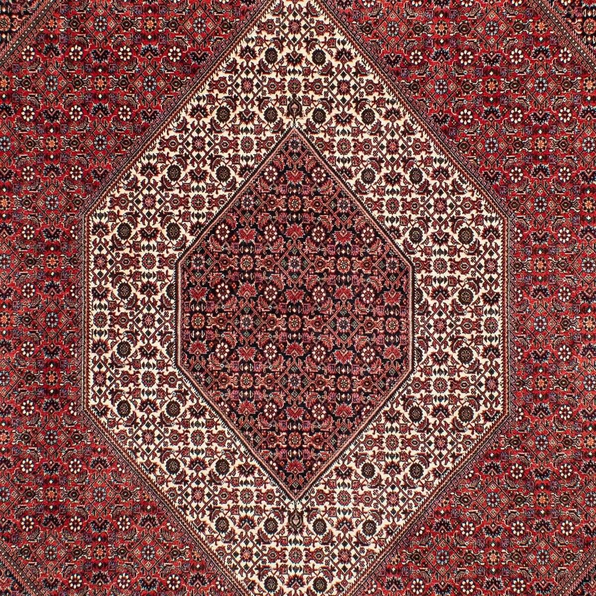 Tappeto Persero - Bidjar - 305 x 203 cm - rosso scuro