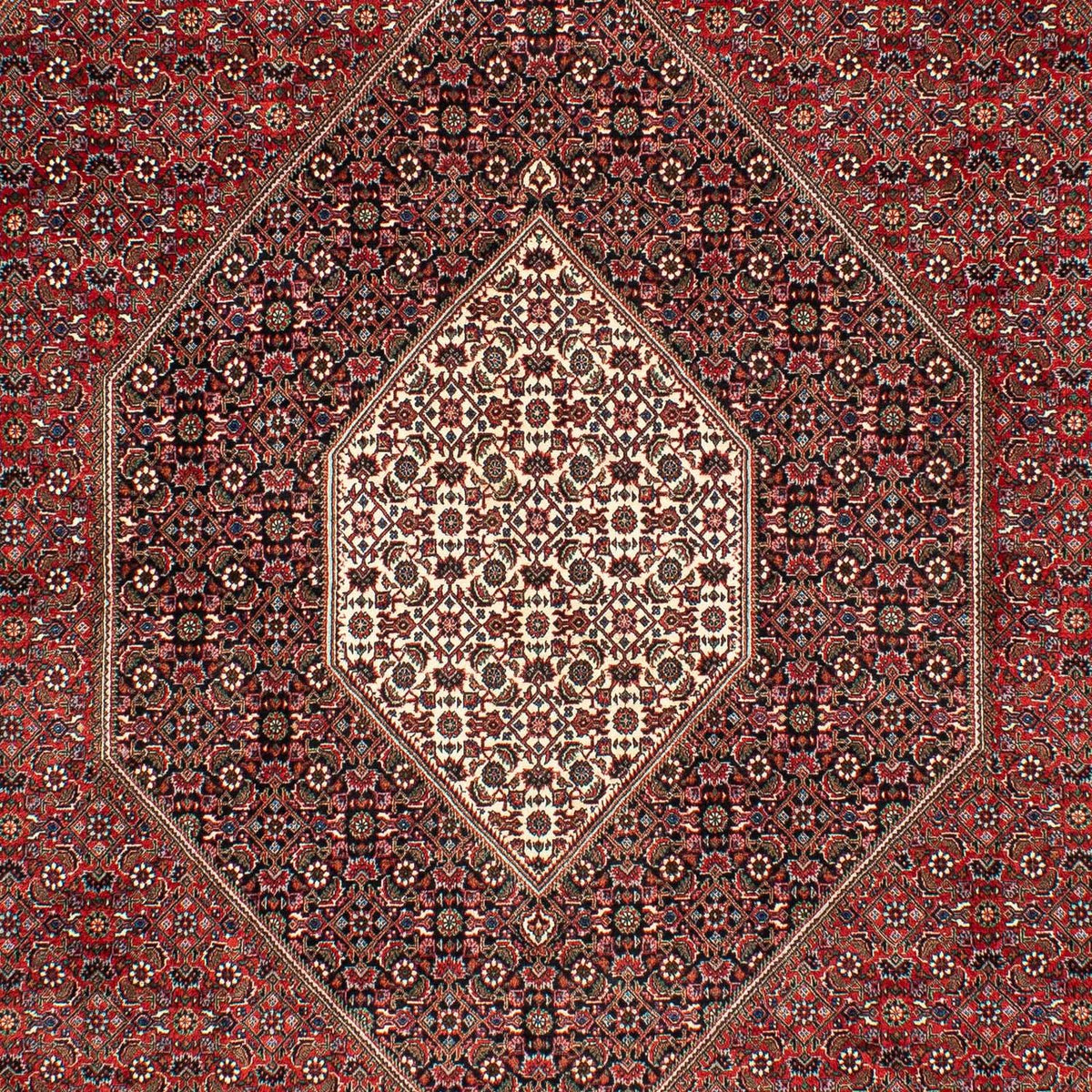 Tappeto Persero - Bidjar - 309 x 208 cm - rosso scuro