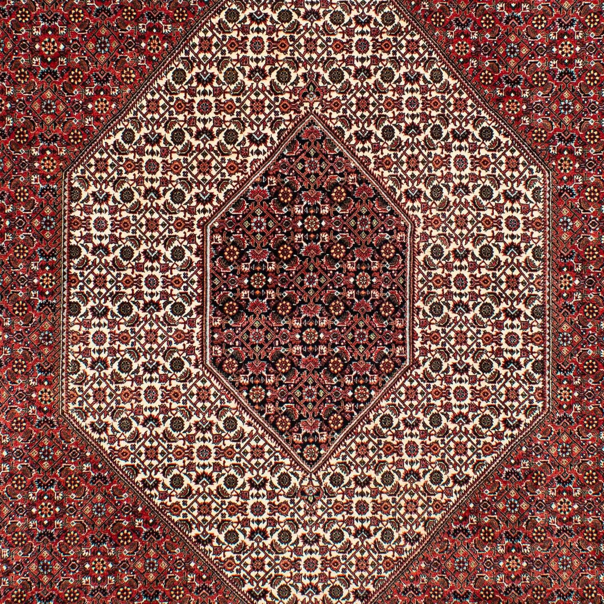 Tappeto Persero - Bidjar - 317 x 201 cm - rosso scuro