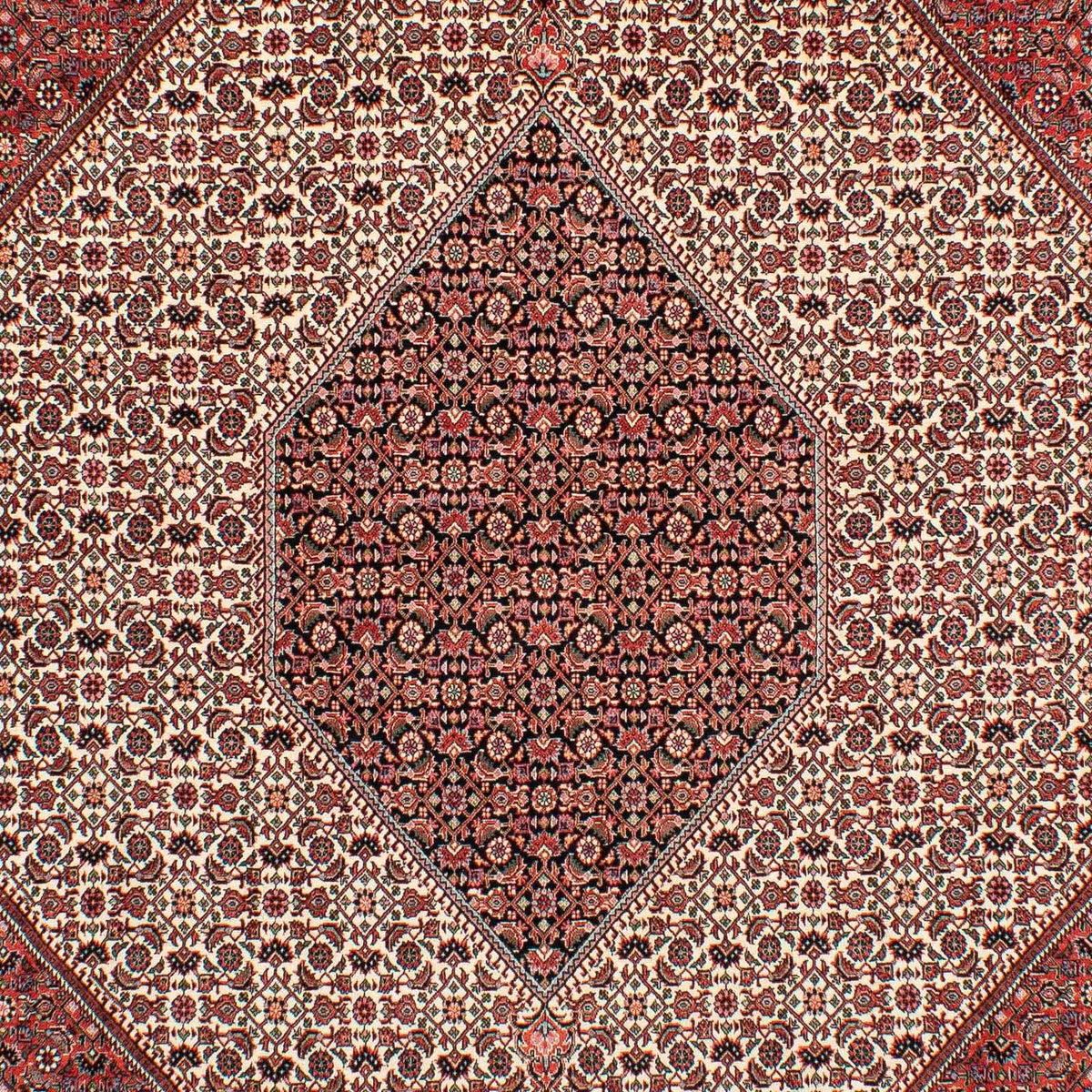 Tappeto Persero - Bidjar - 289 x 204 cm - rosso scuro