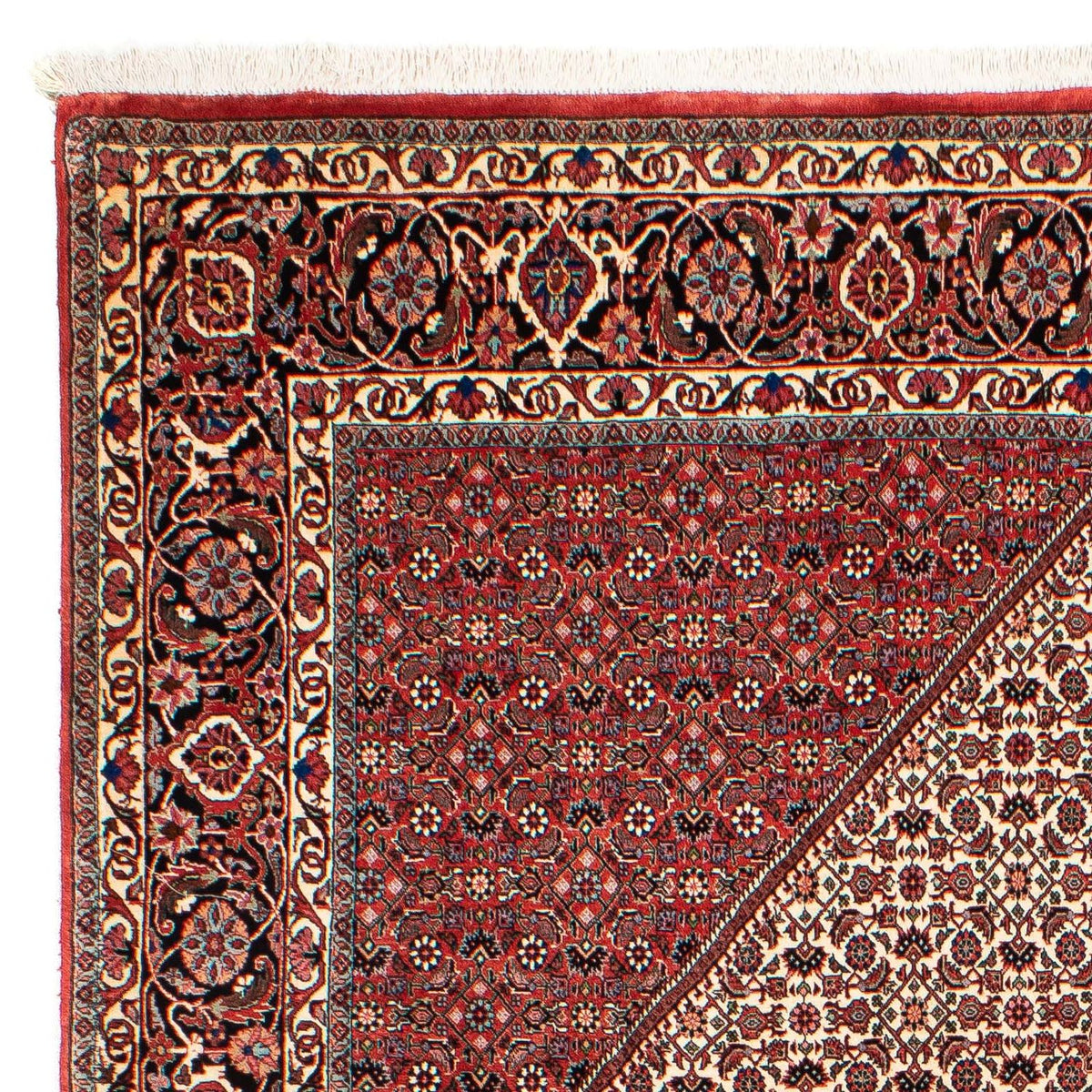 Tappeto Persero - Bidjar - 289 x 204 cm - rosso scuro