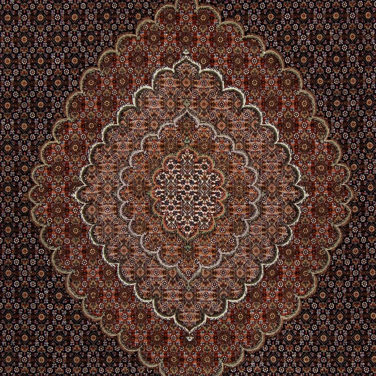Tappeto Persero - Tabriz - 353 x 255 cm - marrone