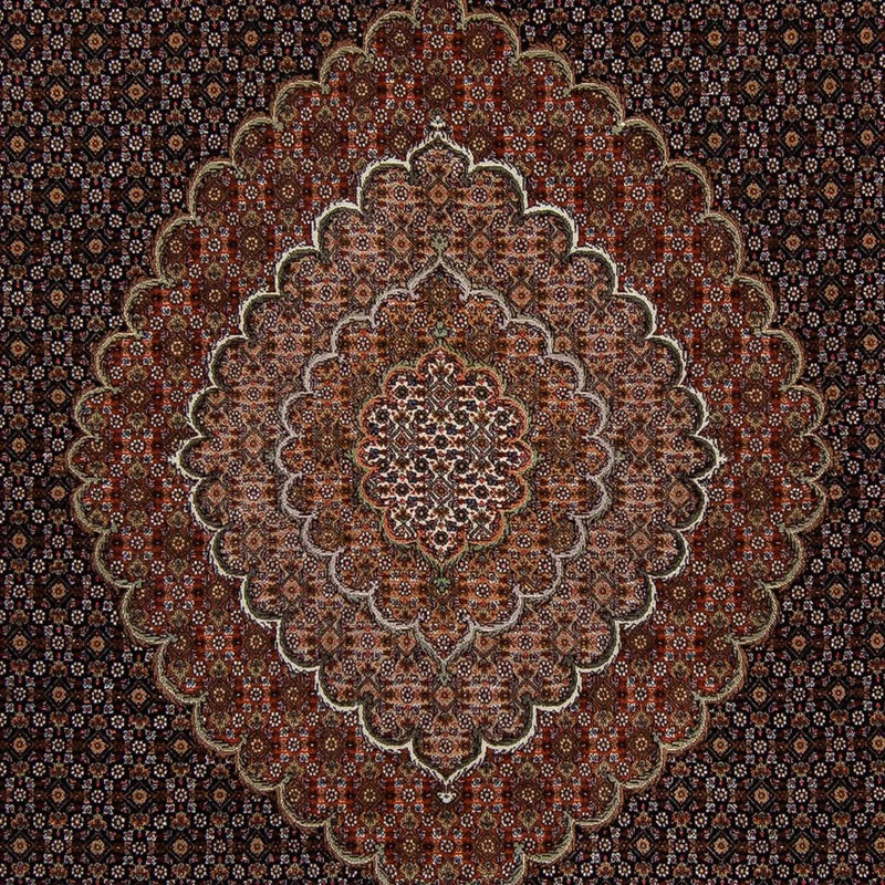 Tappeto Persero - Tabriz - 353 x 255 cm - marrone