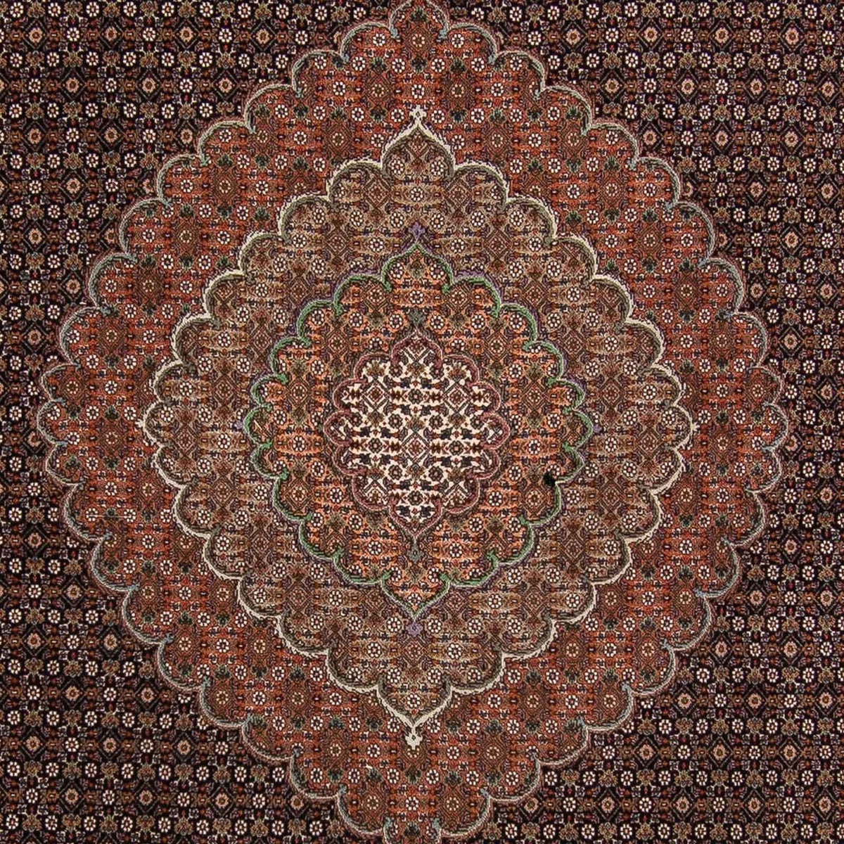 Tappeto Persero - Tabriz - 370 x 256 cm - marrone