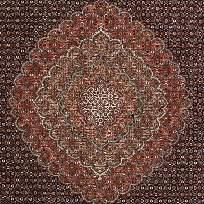 Tappeto Persero - Tabriz - 370 x 256 cm - marrone