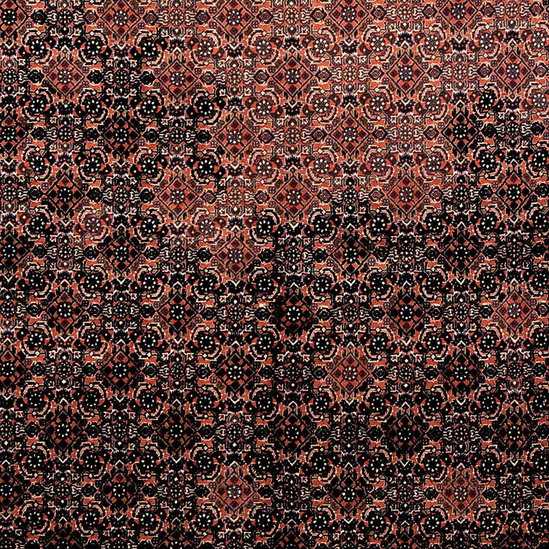 Tappeto Persero - Bidjar - 250 x 173 cm - rosso chiaro