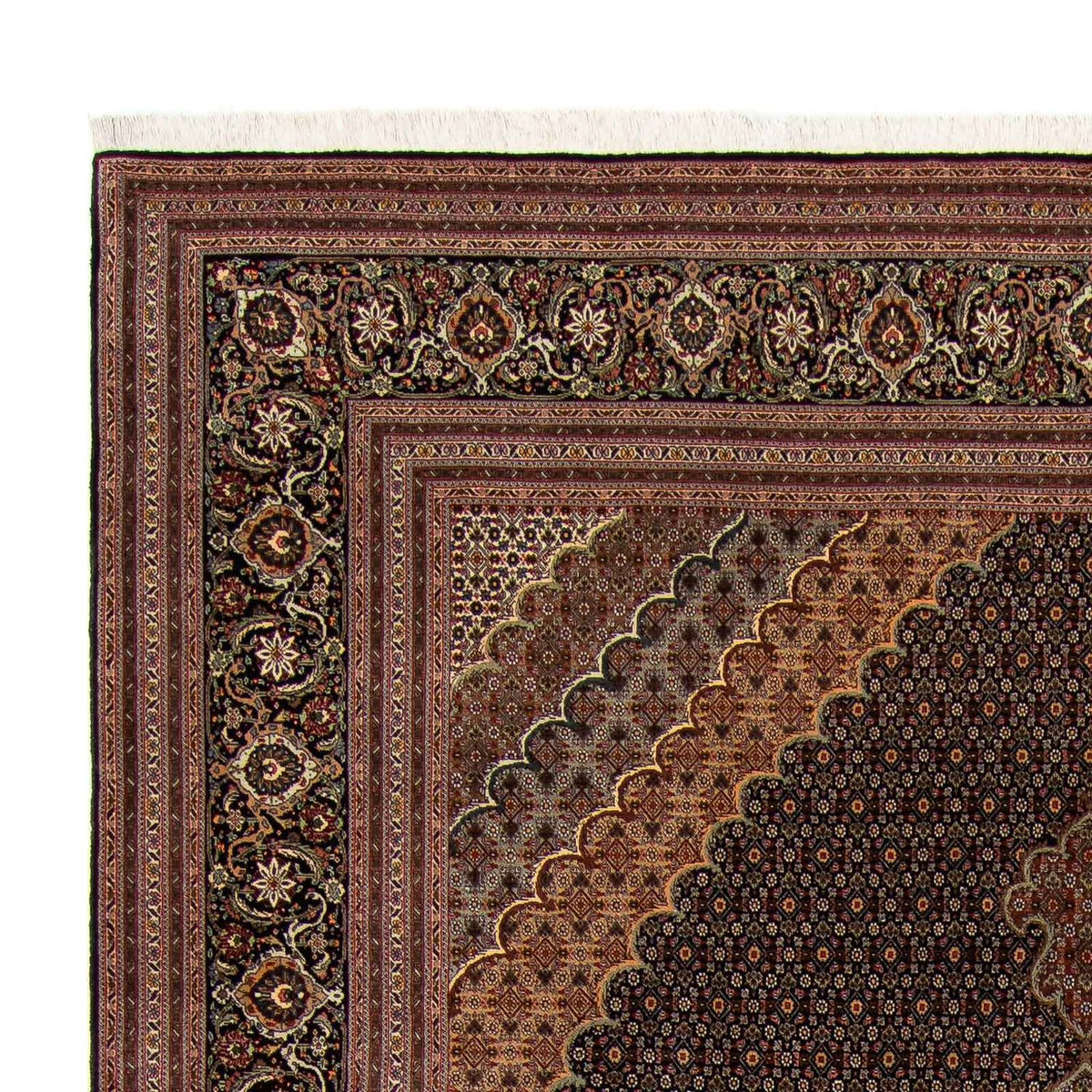 Tappeto Persero - Tabriz - 348 x 252 cm - marrone