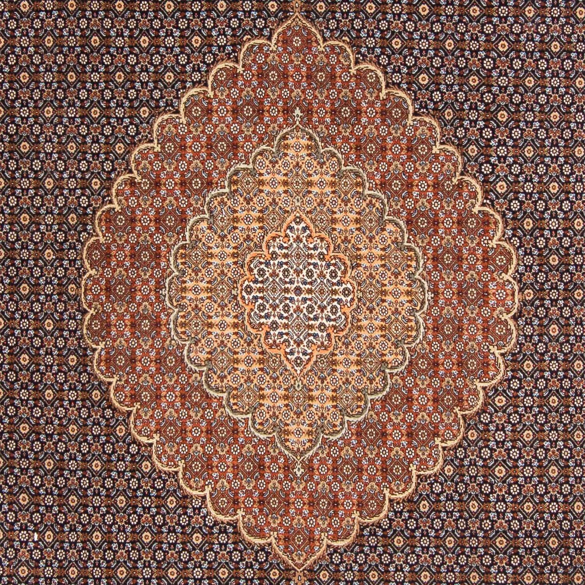 Tappeto Persero - Tabriz - 297 x 205 cm - blu scuro