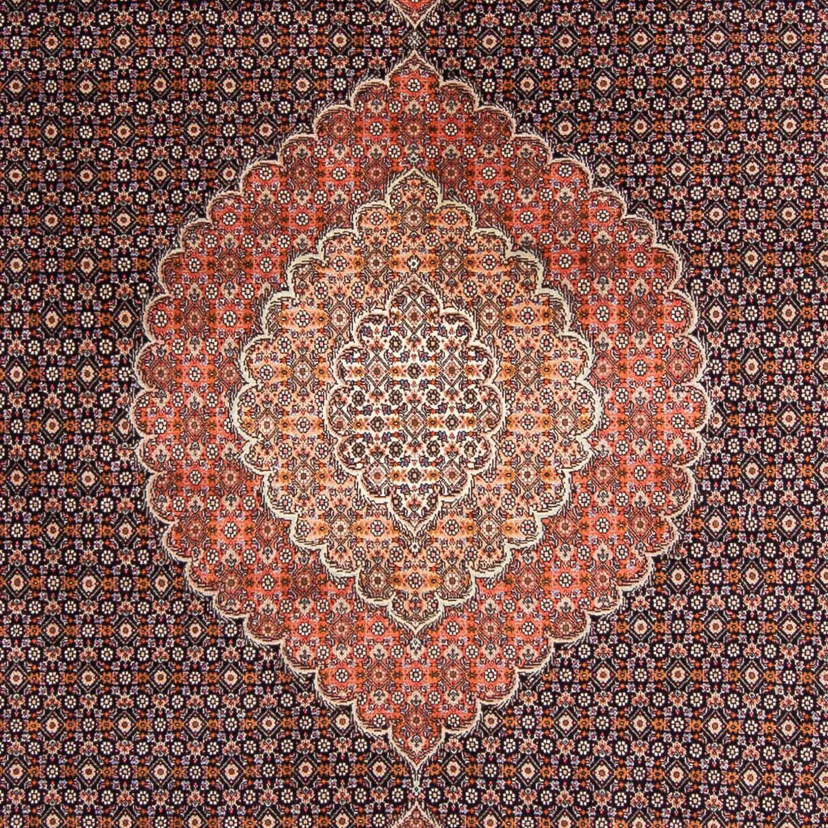 Tappeto Persero - Tabriz - 295 x 203 cm - blu scuro