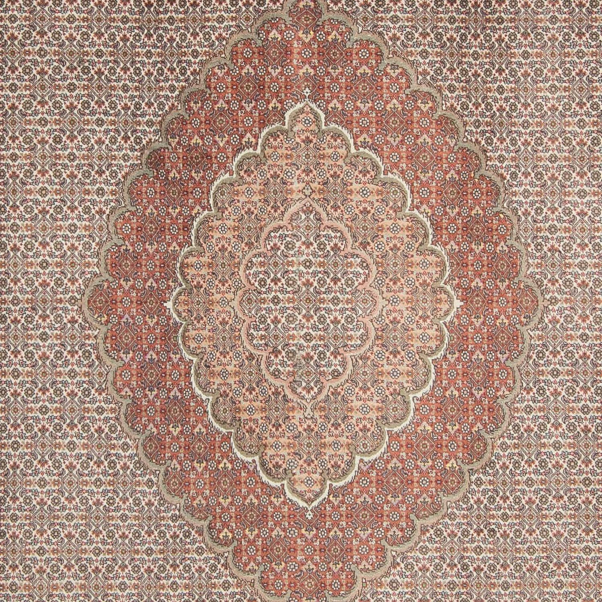 Tappeto Persero - Tabriz - 305 x 198 cm - marrone