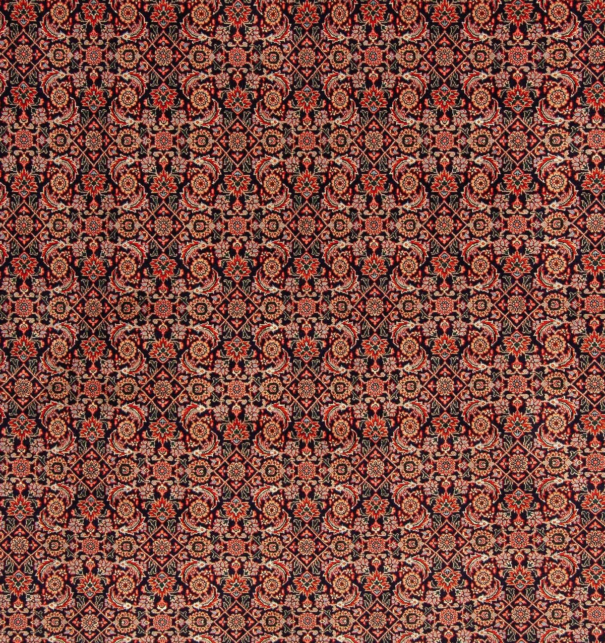 Tappeto Persero - Tabriz quadrato  - 210 x 201 cm - blu scuro