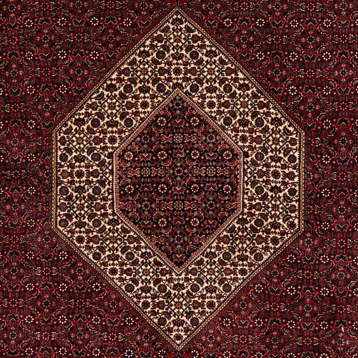 Tappeto Persero - Bidjar - 257 x 204 cm - rosso scuro