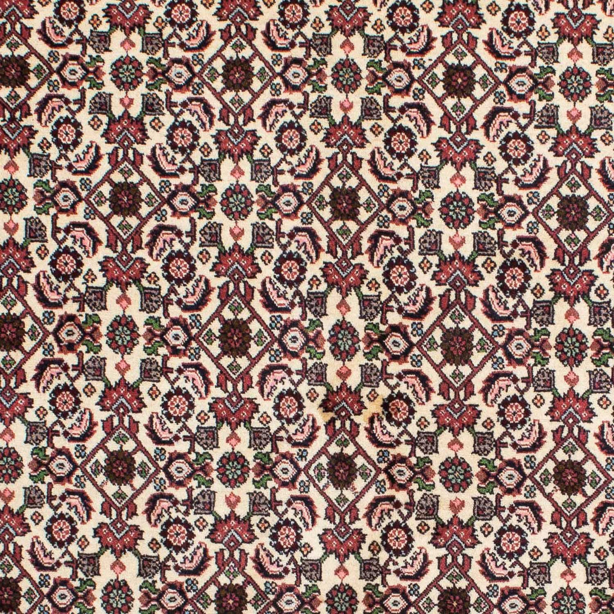Tappeto Persero - Bidjar - 215 x 142 cm - beige