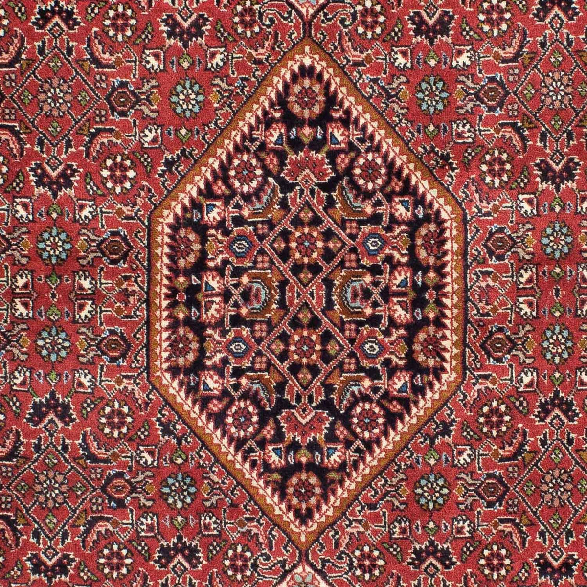 Tappeto Persero - Bidjar - 224 x 141 cm - rosso chiaro