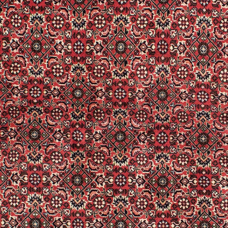 Tappeto Persero - Bidjar - 208 x 139 cm - rosso
