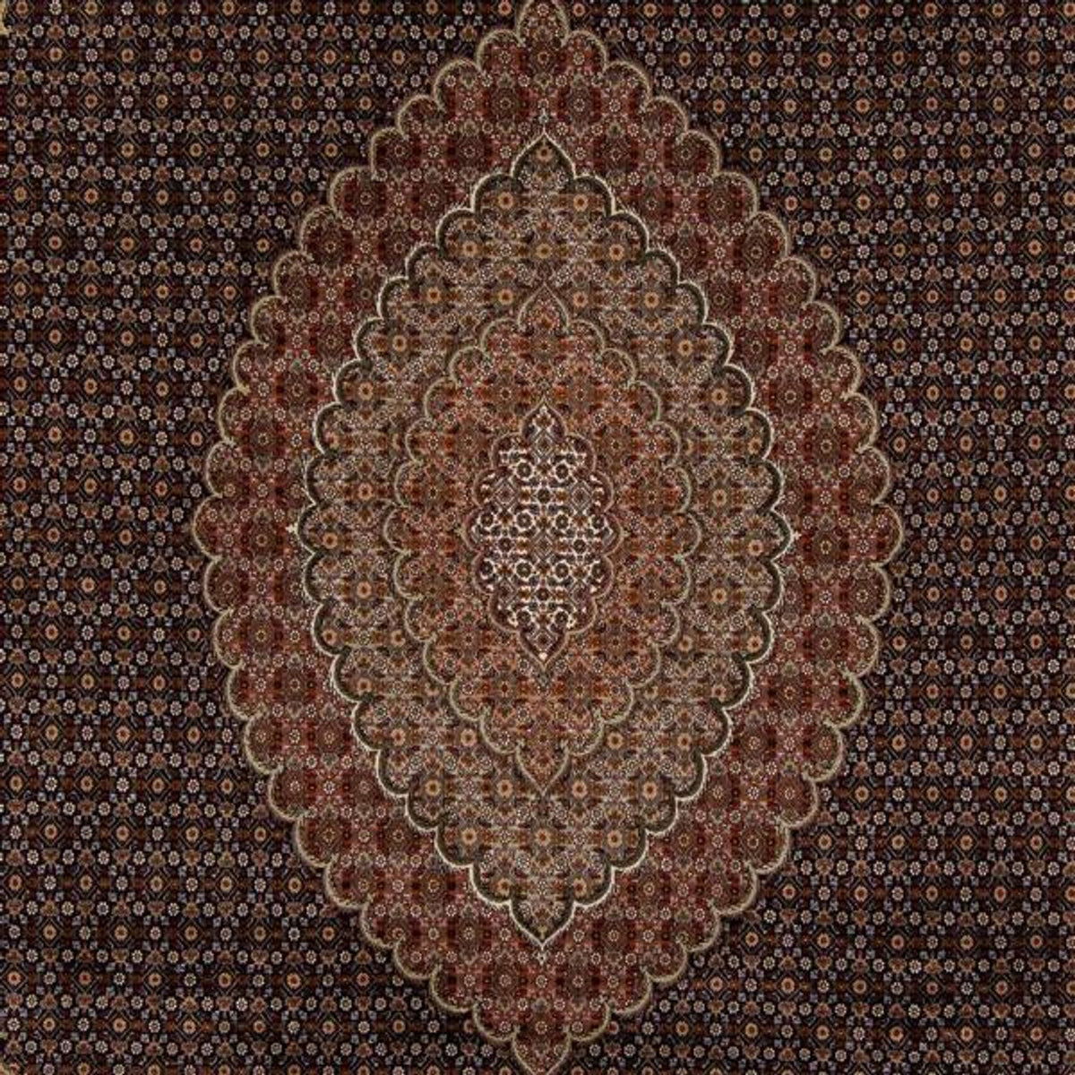 Tappeto Persero - Tabriz - 346 x 252 cm - marrone