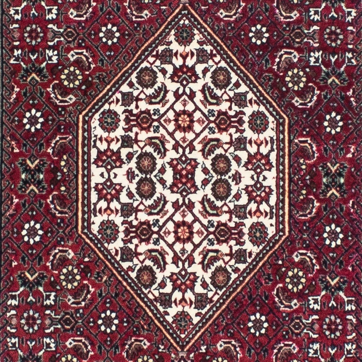 Tappeto corsia Tappeto Persero - Bidjar - 248 x 73 cm - rosso scuro
