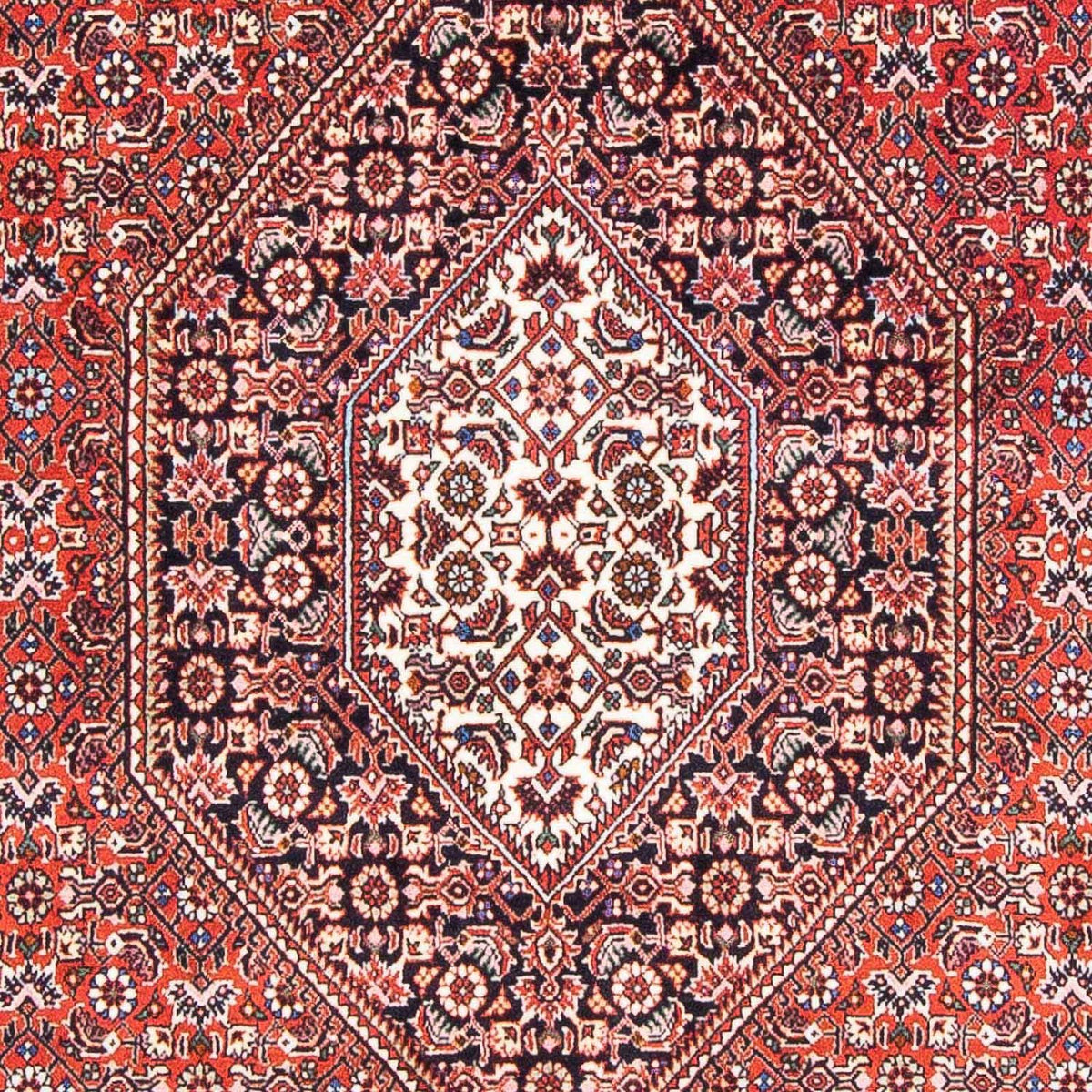 Tappeto Persero - Bidjar - 180 x 108 cm - rosso