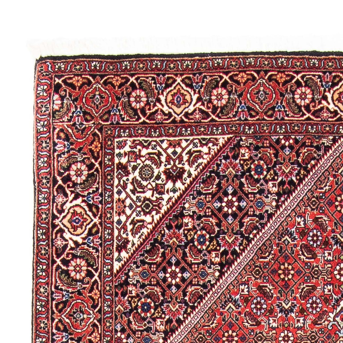 Tappeto Persero - Bidjar - 175 x 110 cm - rosso