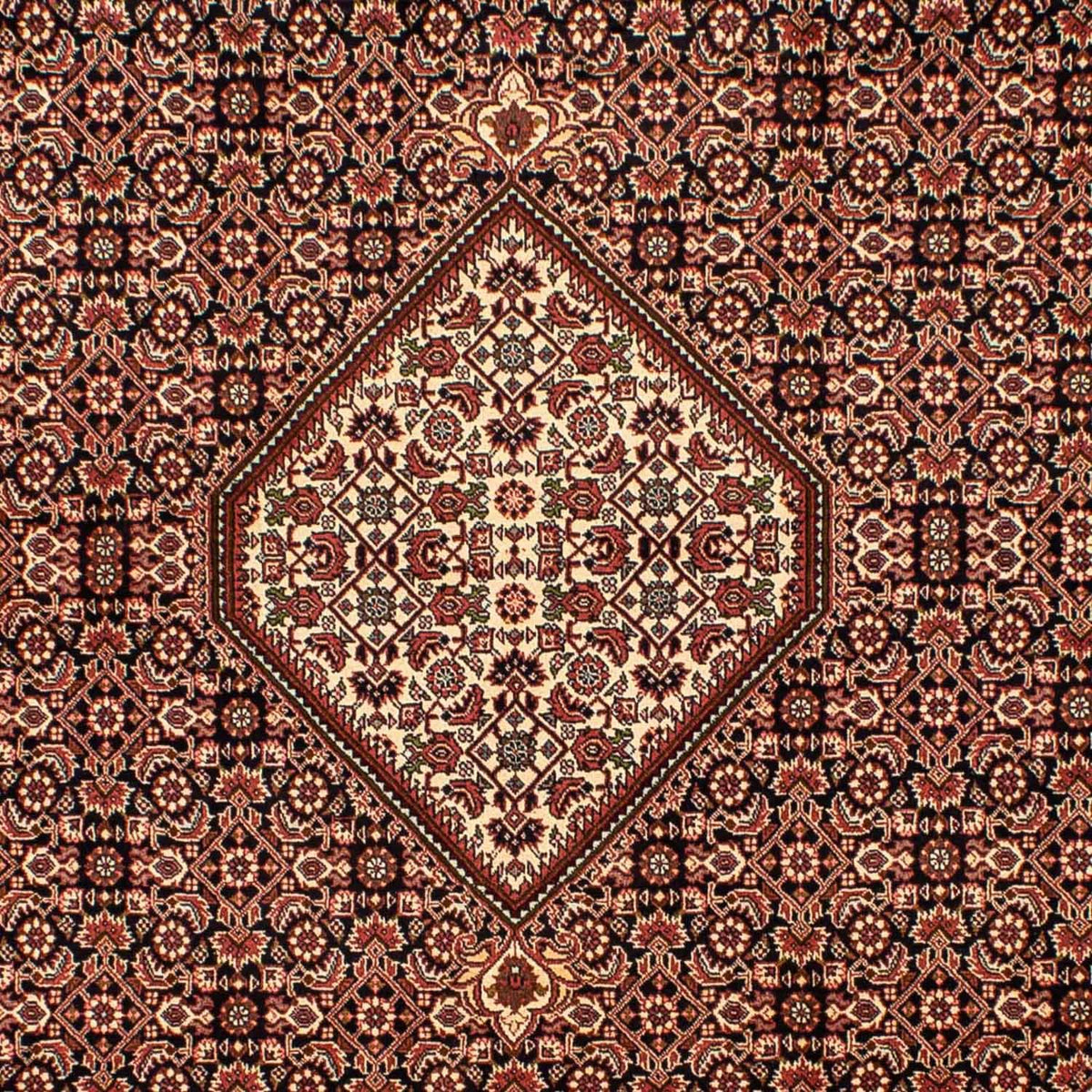 Tappeto Persero - Bidjar - 296 x 198 cm - marrone