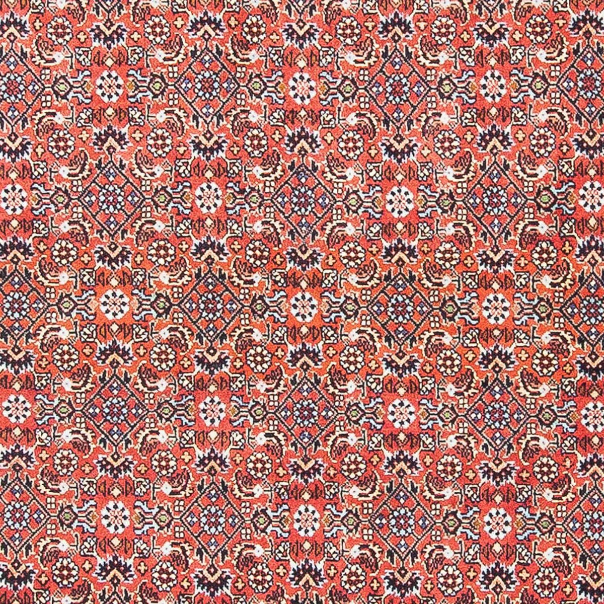 Tappeto Persero - Bidjar - 137 x 96 cm - rosso scuro