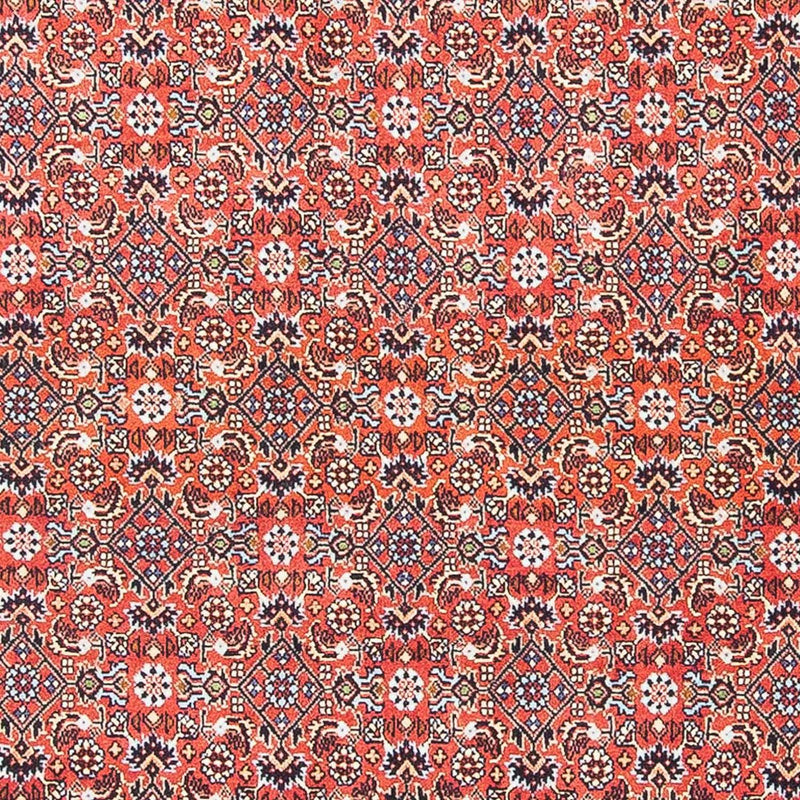Tappeto Persero - Bidjar - 137 x 96 cm - rosso scuro