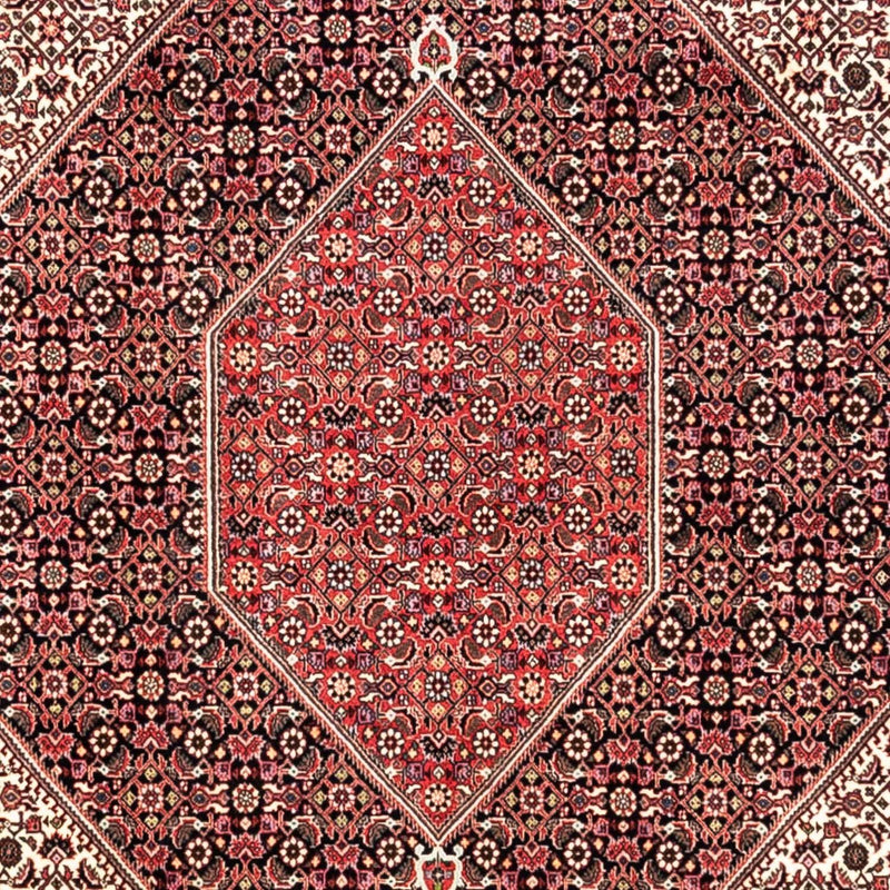 Tappeto Persero - Bidjar - 349 x 252 cm - rosso