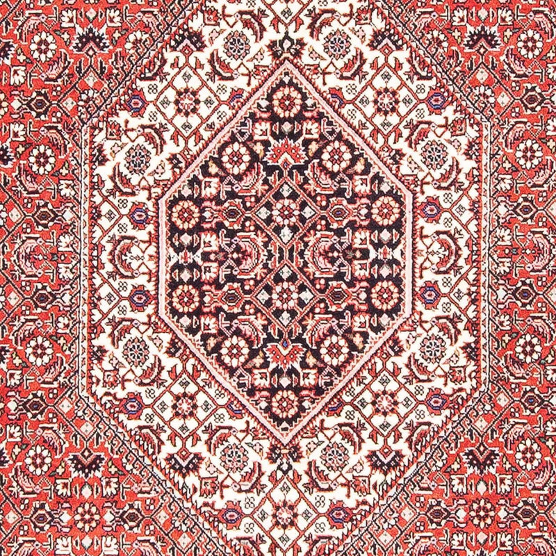 Tappeto Persero - Bidjar - 176 x 112 cm - rosso