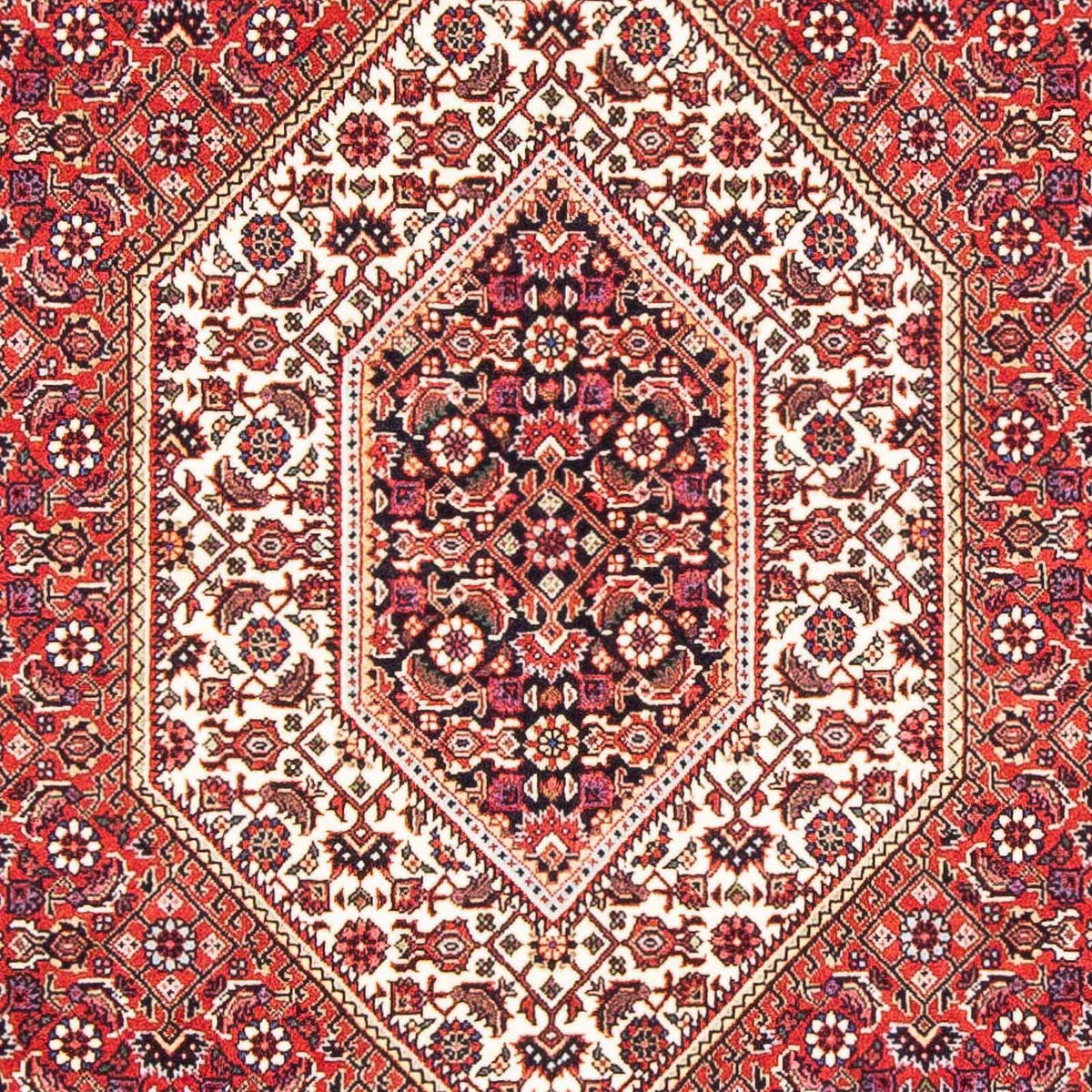 Tappeto Persero - Bidjar - 171 x 112 cm - rosso