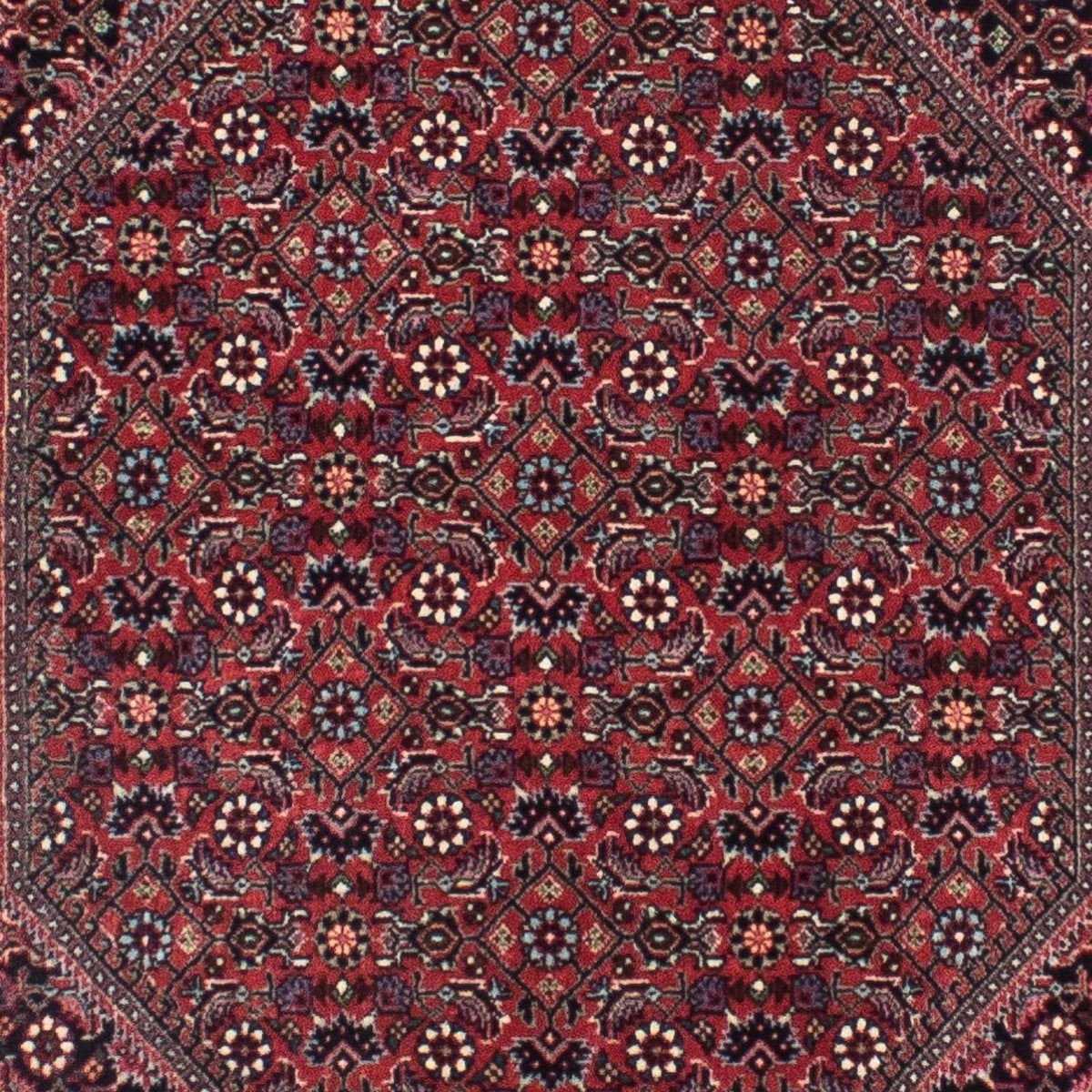 Tappeto corsia Tappeto Persero - Bidjar - 313 x 84 cm - blu scuro
