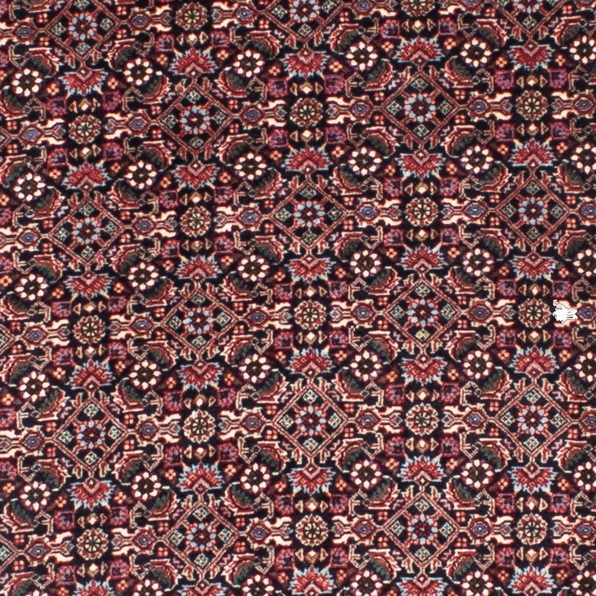 Tappeto corsia Tappeto Persero - Bidjar - 288 x 86 cm - rosso