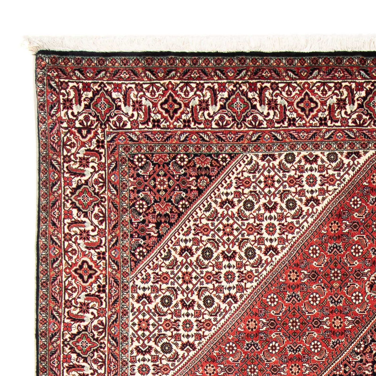 Tappeto Persero - Bidjar - 251 x 170 cm - rosso chiaro