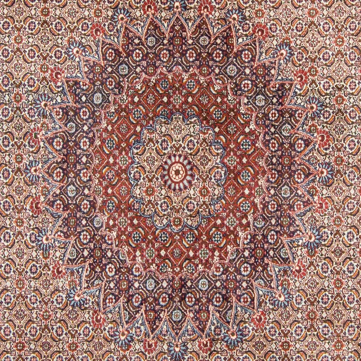 Tappeto Persero - Classico - 300 x 199 cm - rosso chiaro