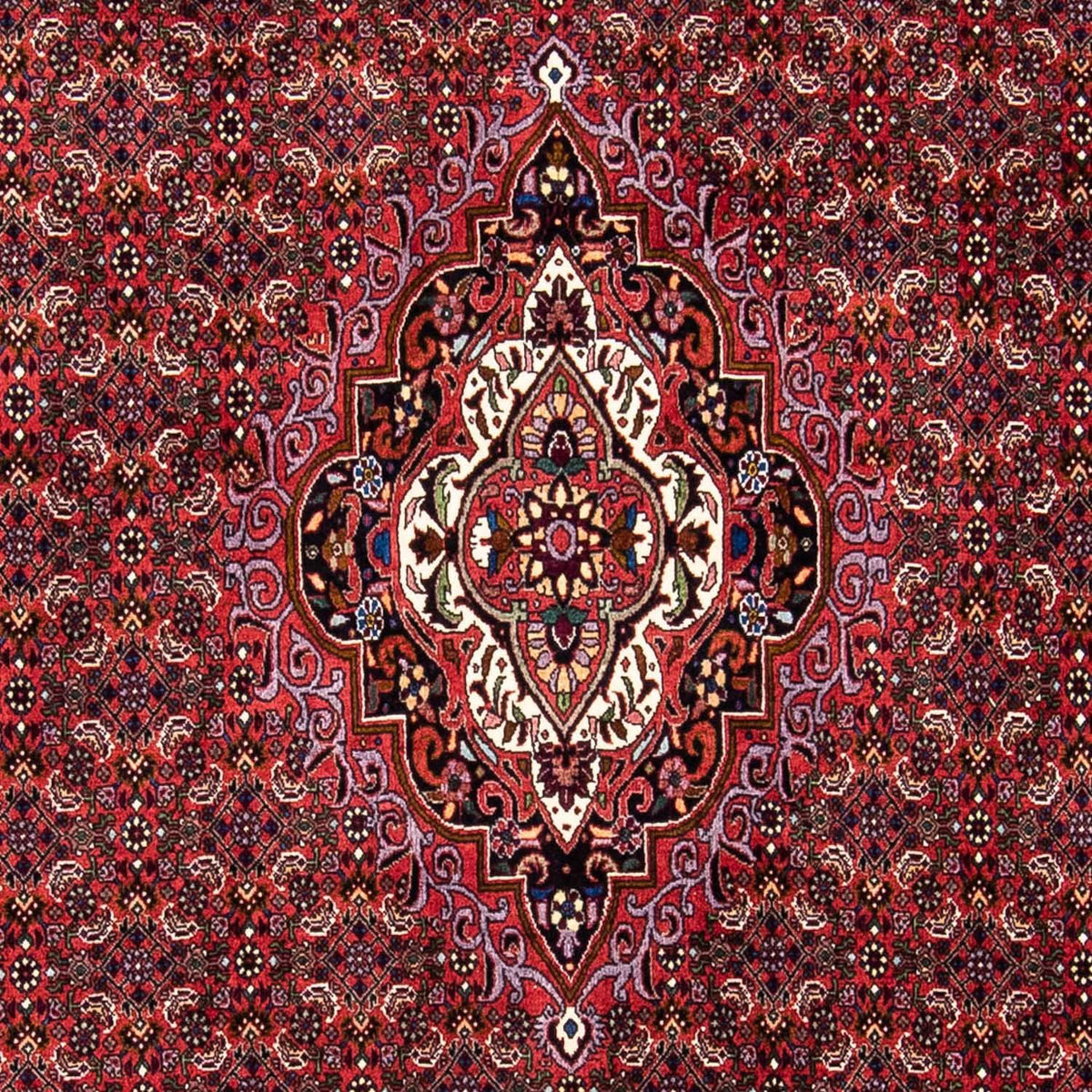 Tappeto Persero - Bidjar - 241 x 172 cm - rosso scuro
