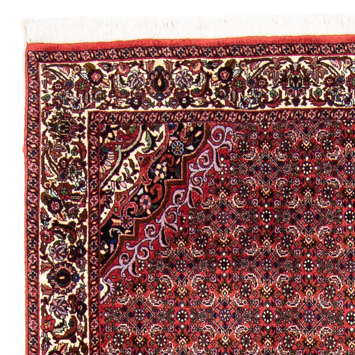 Tappeto Persero - Bidjar - 241 x 172 cm - rosso scuro