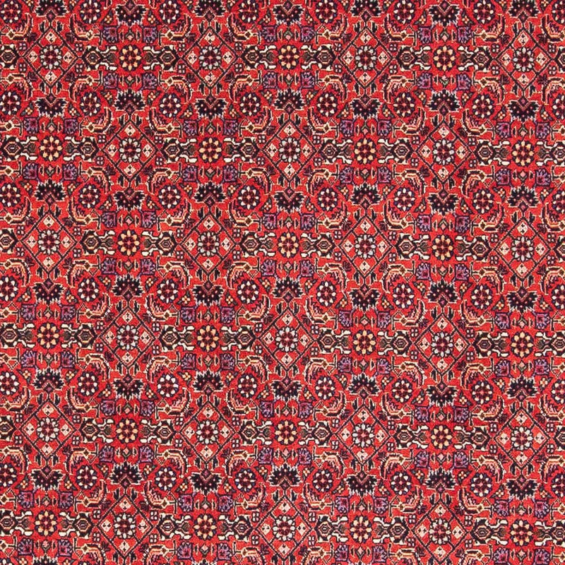 Tappeto Persero - Bidjar quadrato  - 126 x 124 cm - rosso