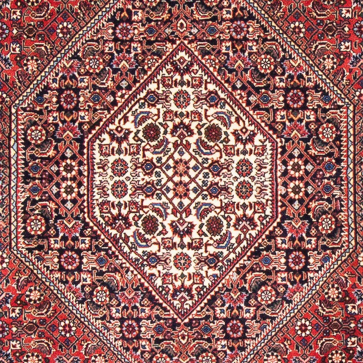 Tappeto Persero - Bidjar - 170 x 110 cm - rosso