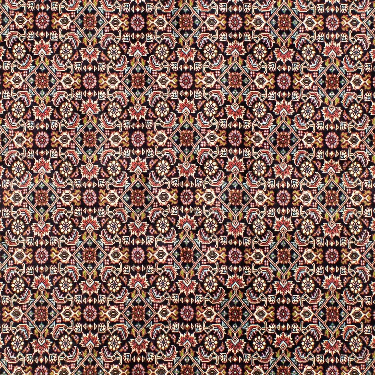 Tappeto Persero - Bidjar - 248 x 173 cm - blu scuro