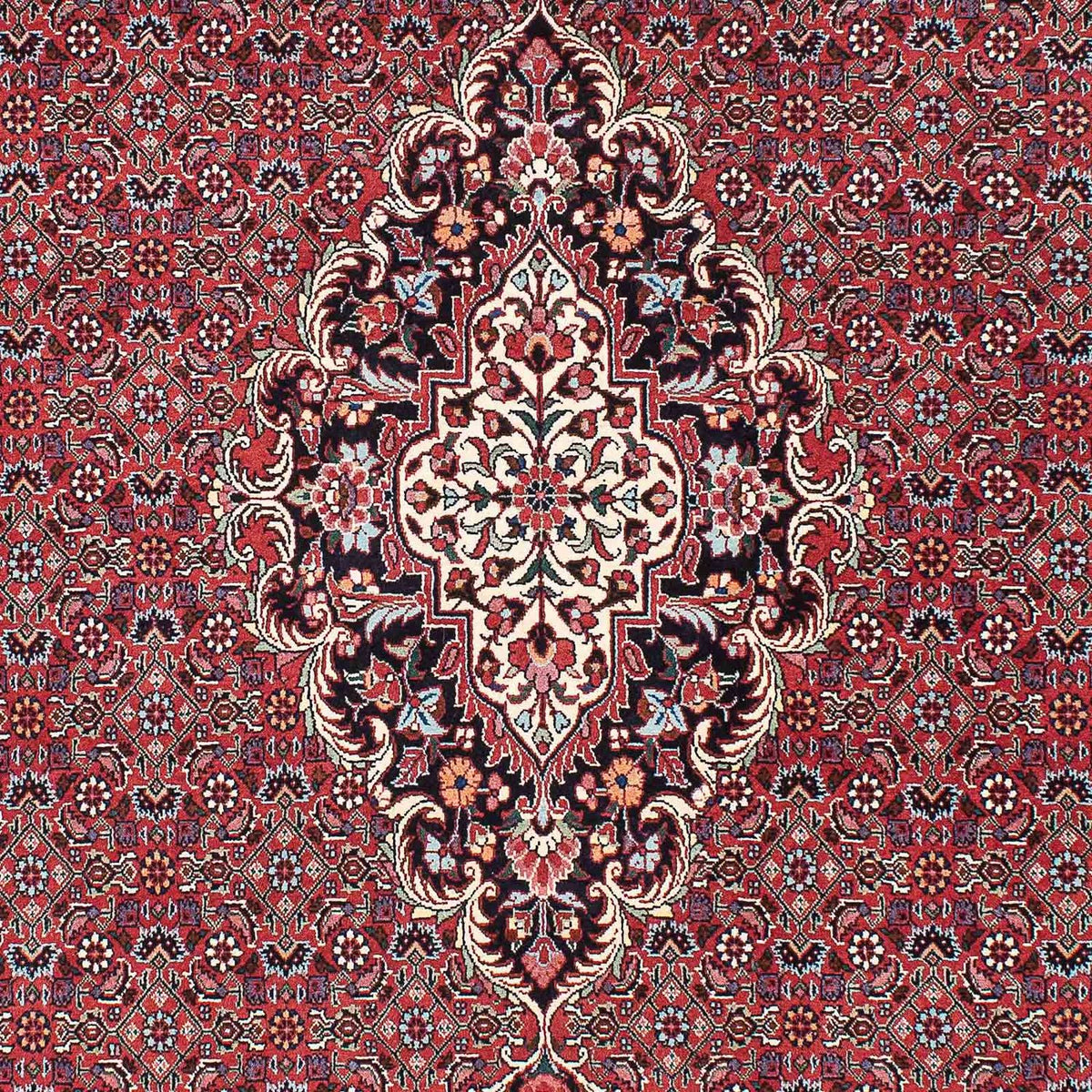 Tappeto Persero - Bidjar - 220 x 153 cm - rosso