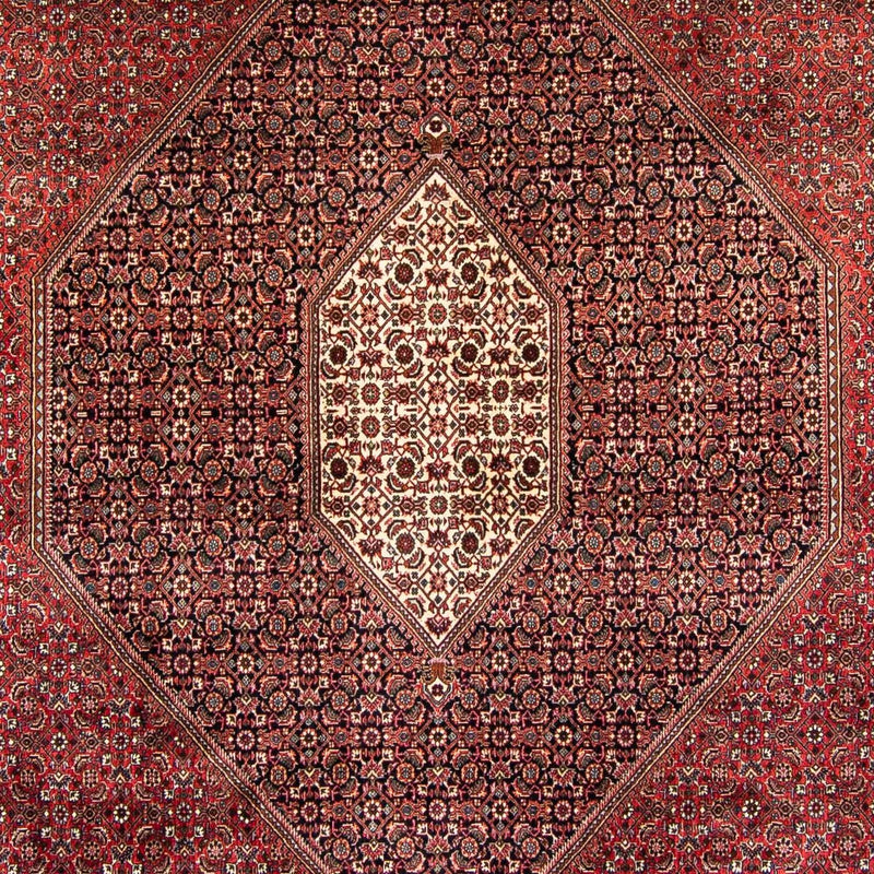 Tappeto Persero - Bidjar - 382 x 249 cm - rosso scuro
