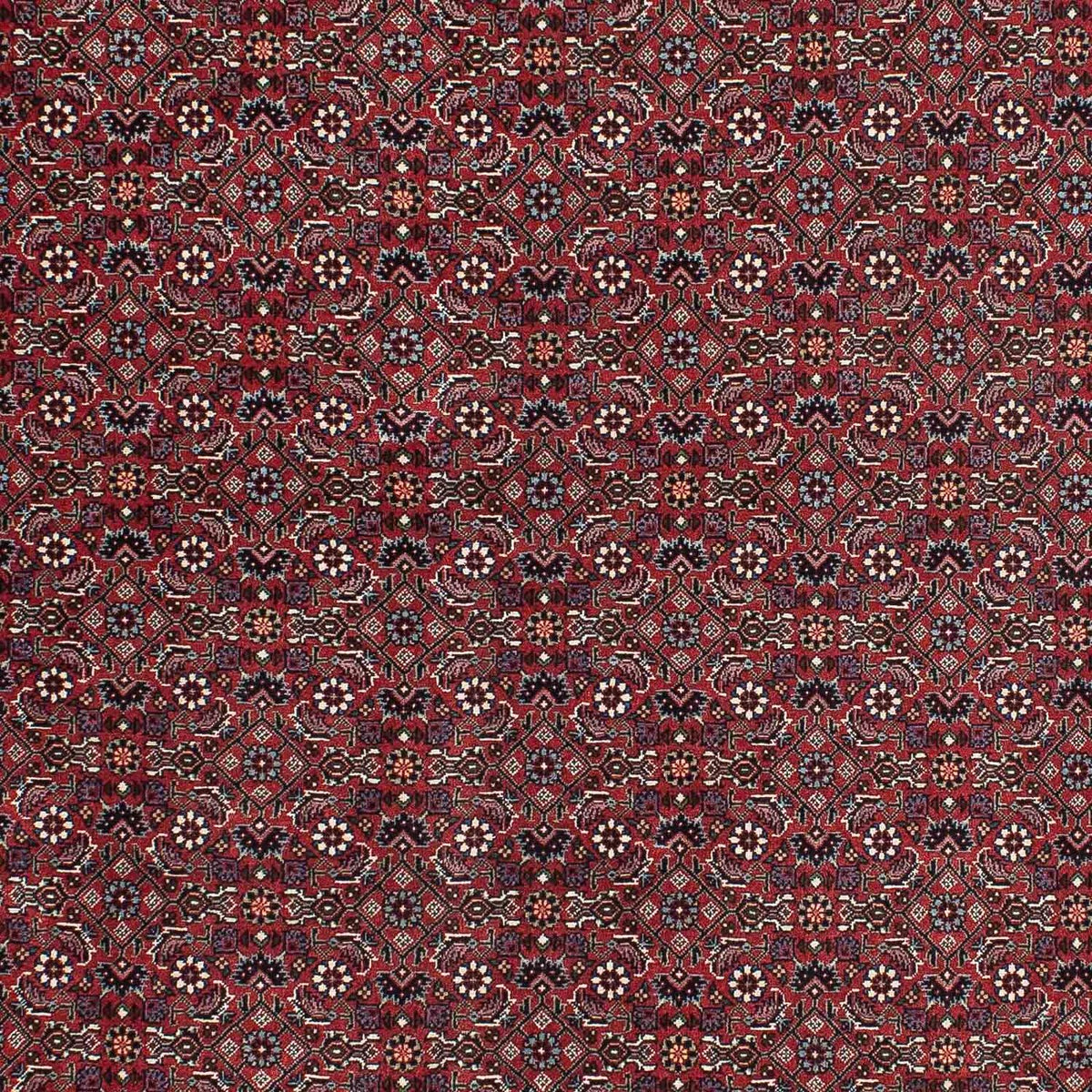 Tappeto Persero - Bidjar - 195 x 115 cm - rosso