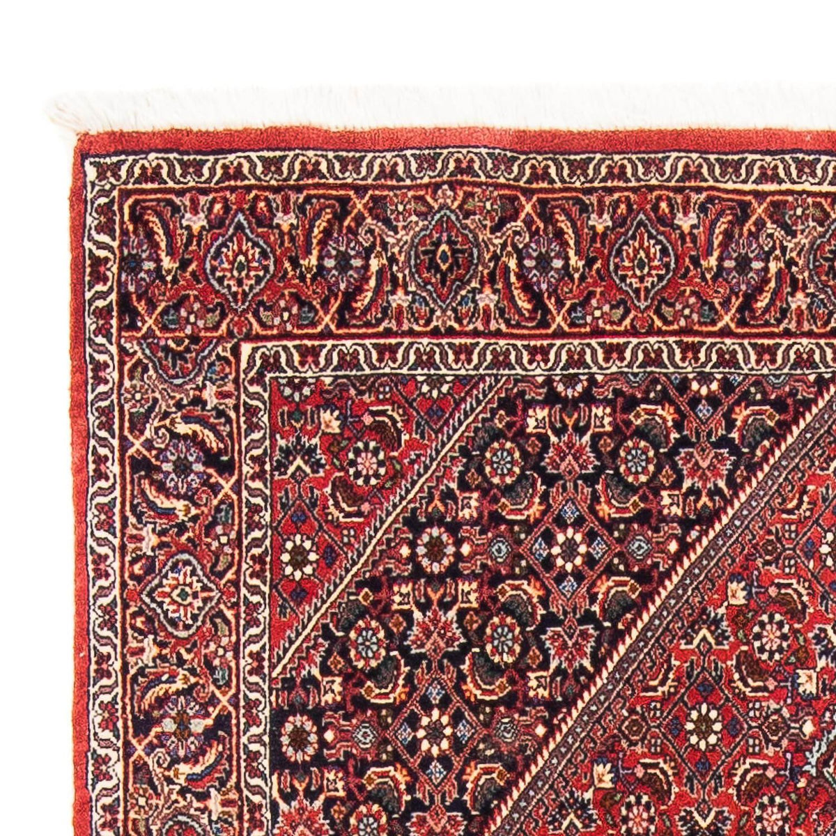 Tappeto Persero - Bidjar - 182 x 111 cm - rosso