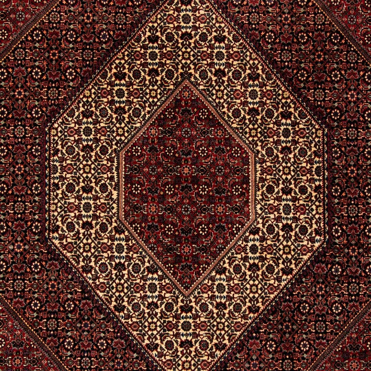 Tappeto Persero - Bidjar - 255 x 205 cm - rosso scuro
